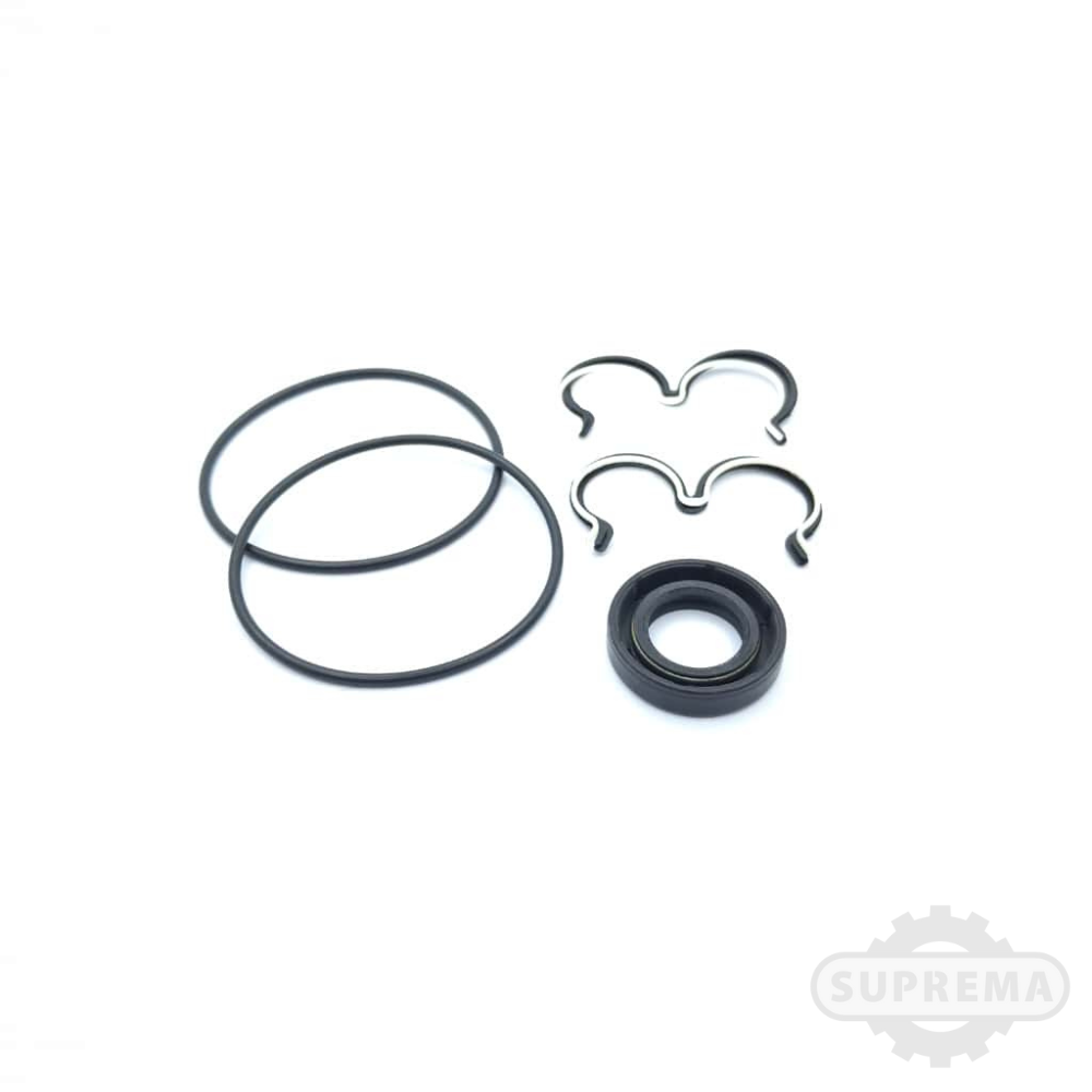 REPARO BOMBA PARKER P-11