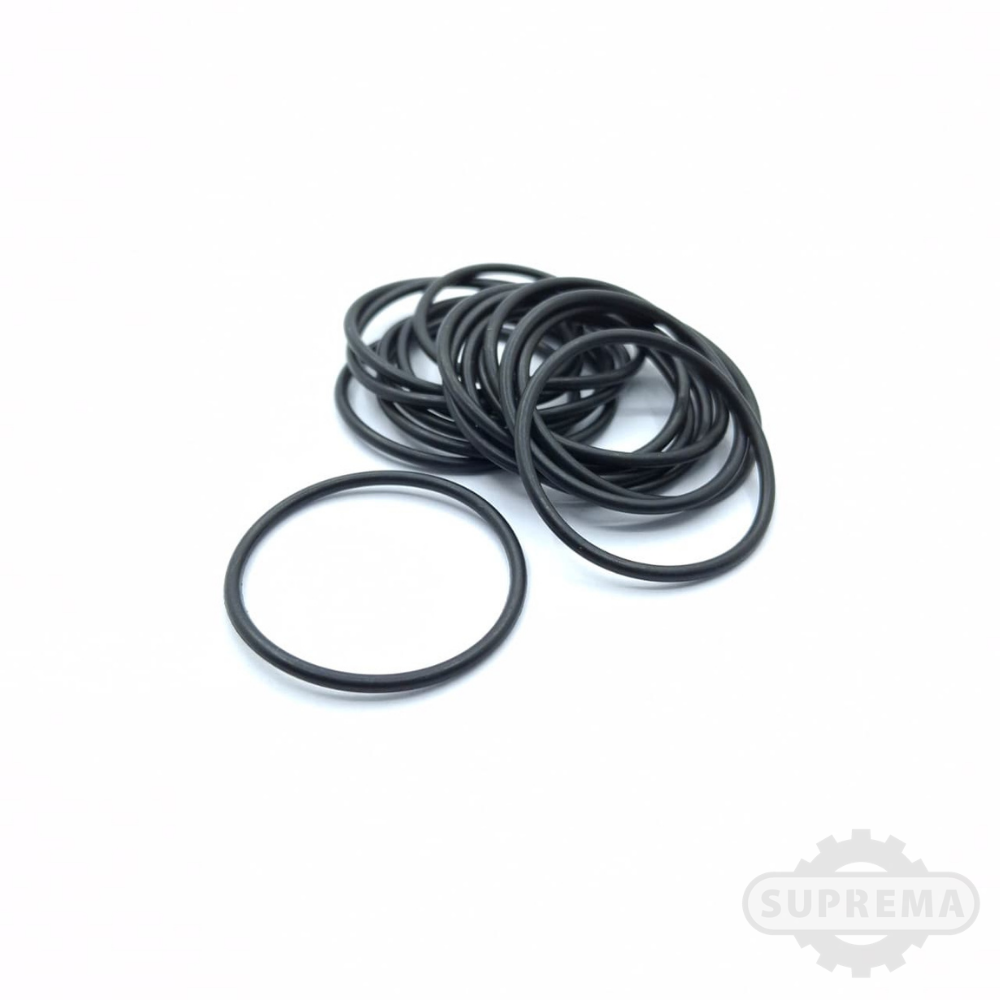 ANEL ORING 31.30-2.00 BN