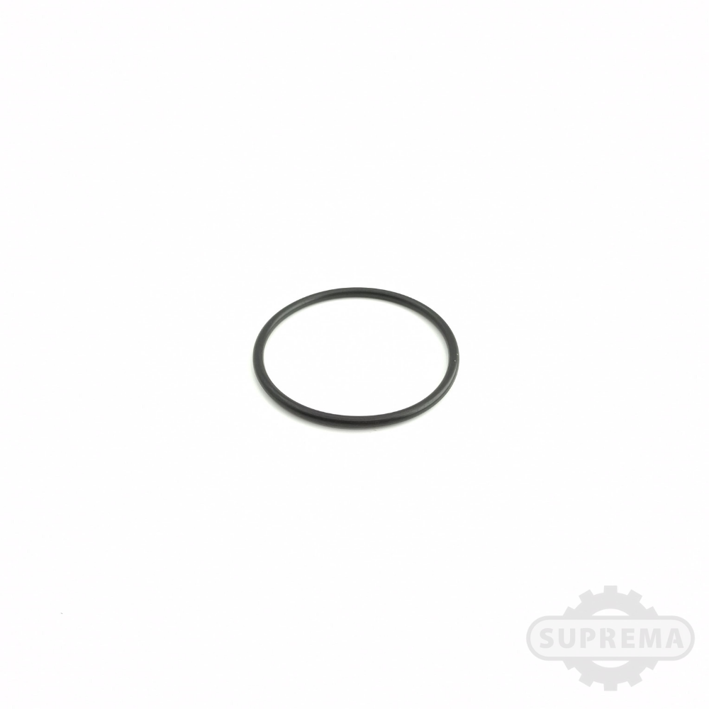 ANEL ORING 17.04-3.53 2209 VITON