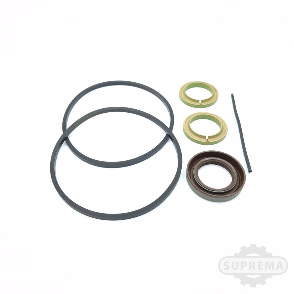 REP. BOMBA COMERCIAL P-30 RET. VITON #