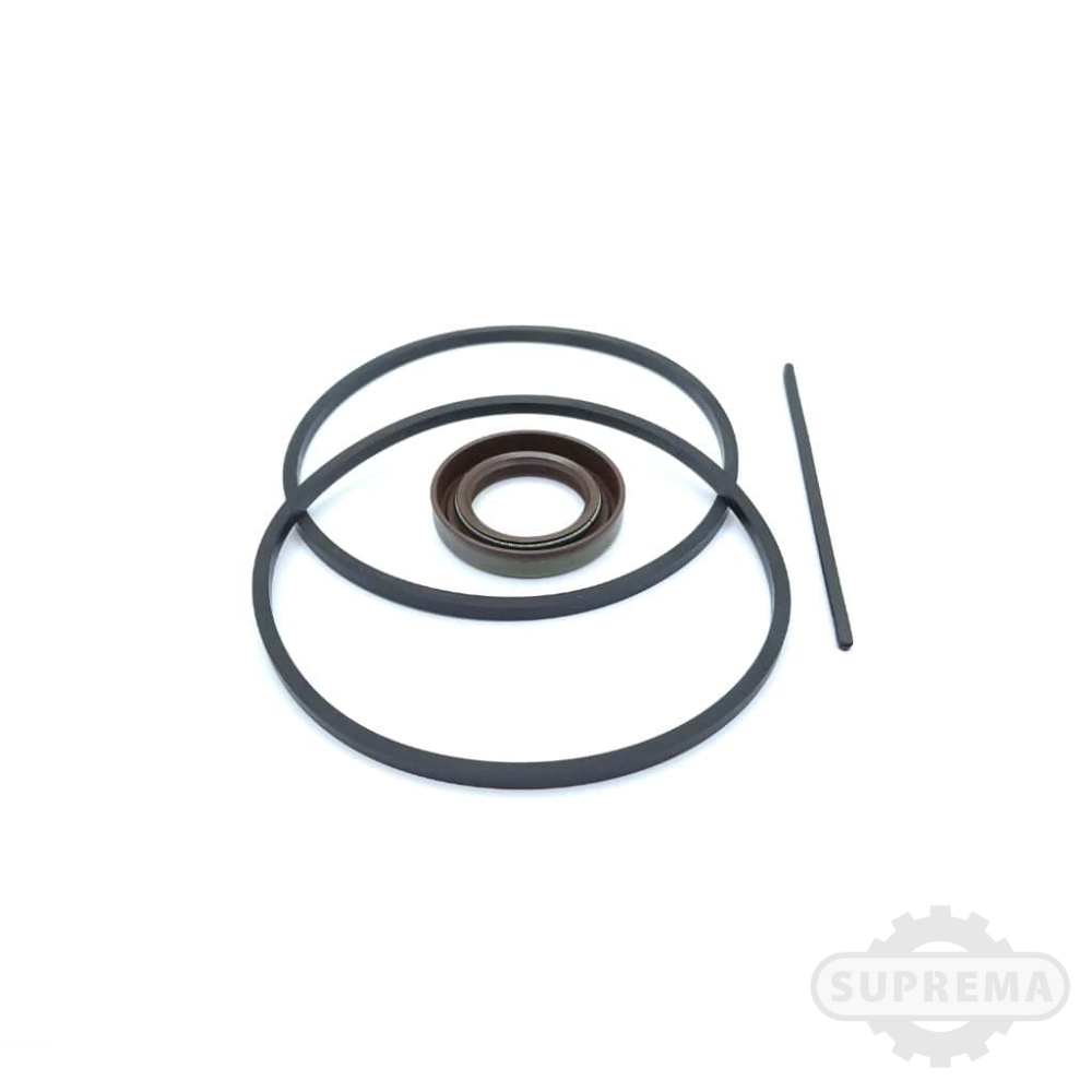 REP. BOMBA COMERCIAL P-30 S/ BRONZES RET. VITON